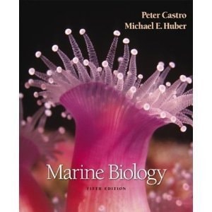 Marine Biology Fifth Edition 5th Edition Boston Cop 2005 Peter Castro Michael Ehuber著