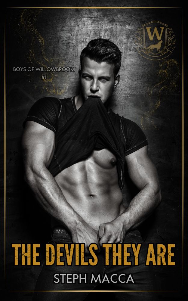 The Devils They Are An Academy Enemies To Lovers Romance Boys Of Willowbrook Book 1 Steph Macca