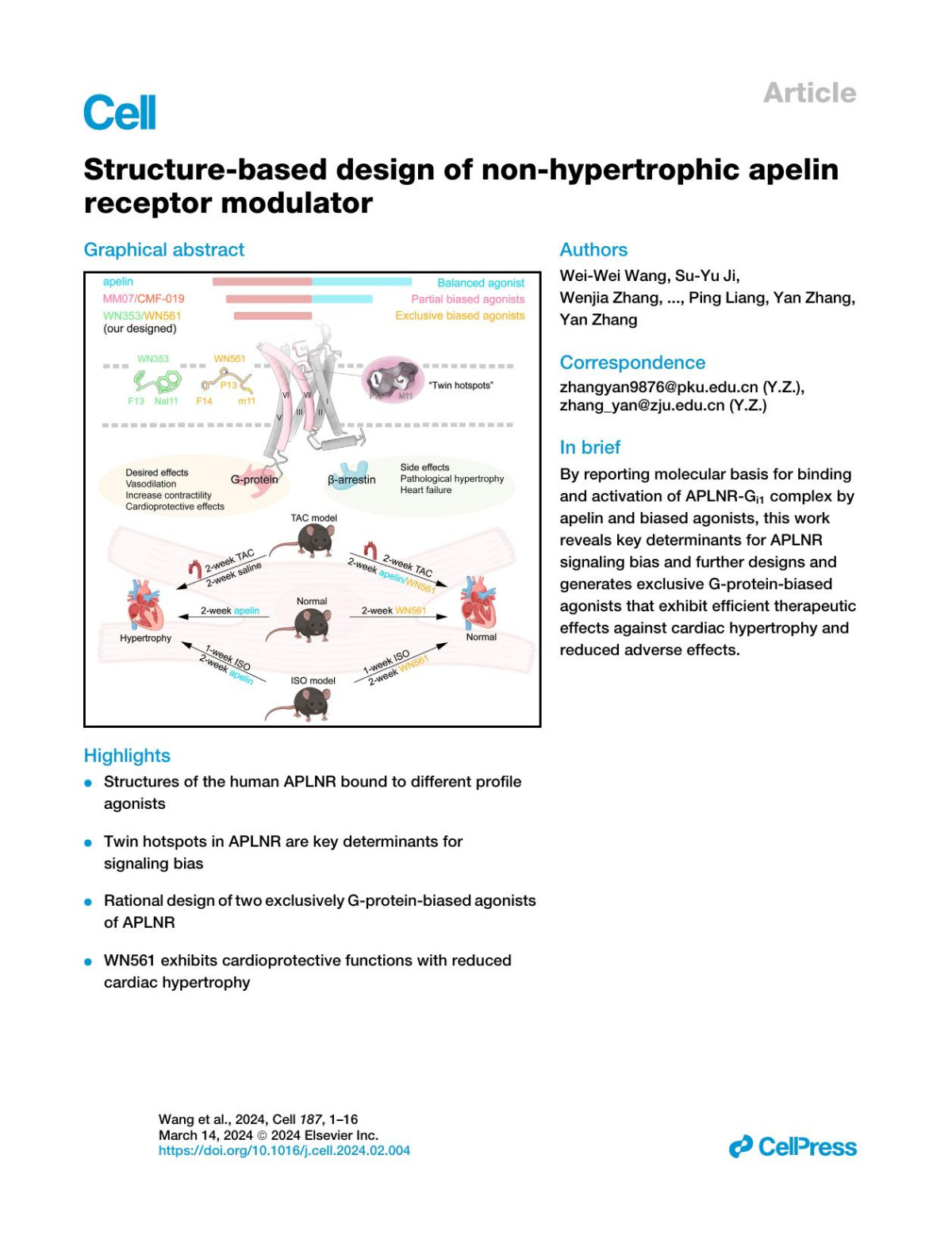 Structurebased Design Of Nonhypertrophic Apelin Receptor Modulator Weiwei Wang Suyu Ji Wenjia Zhang Junxia Zhang Chenxi Cai Rubi Hu Shaokun Zang Luwei Miao Haomang Xu Linan Chen Zongkuai Yang Jia Guo Jiao Qin Dandan Shen Ping Liang Yan Zhang