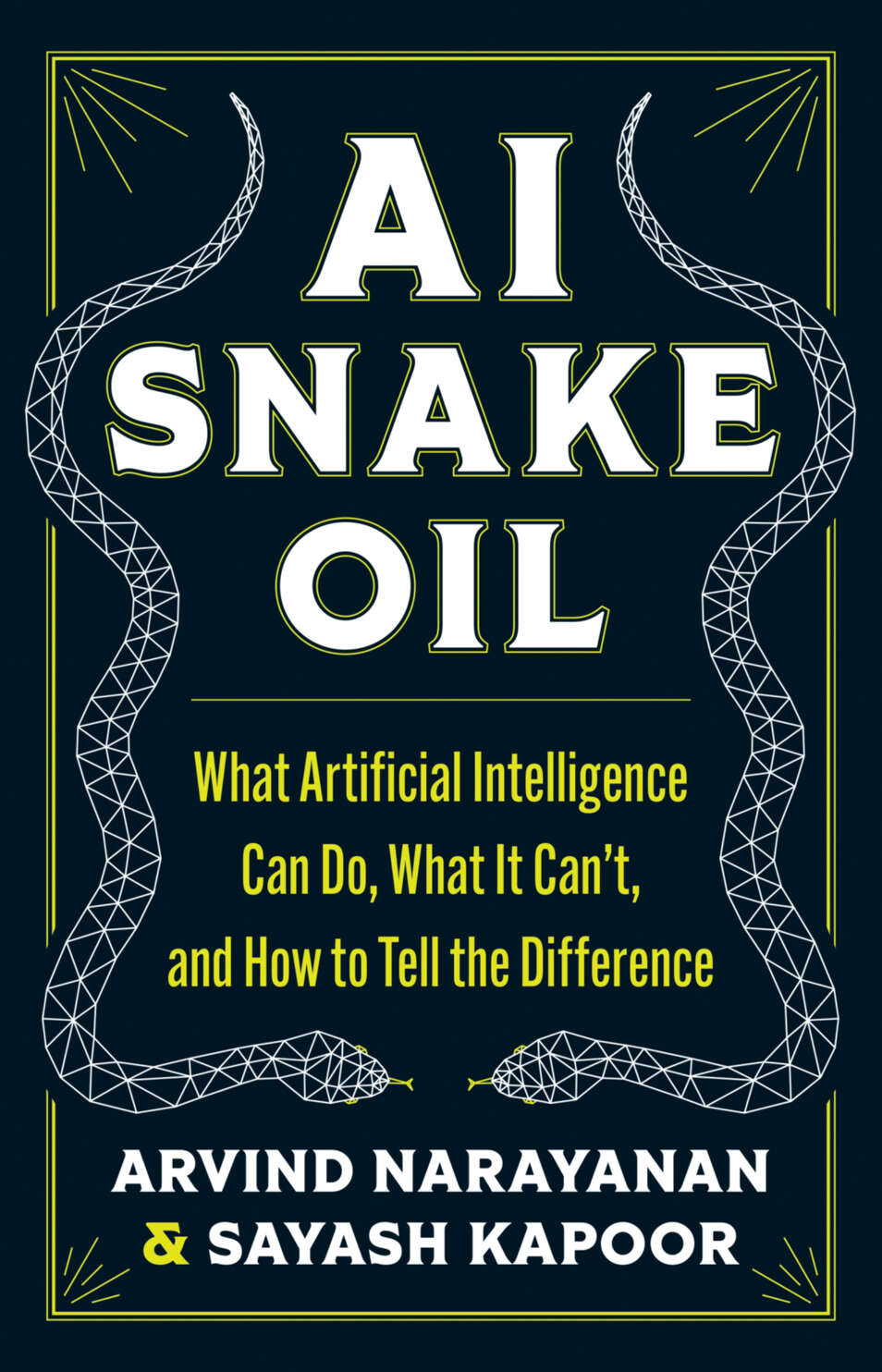 Ai Snake Oil What Artificial Intelligence Can Do What It Cant And How To Tell The Difference Arvind Narayanan