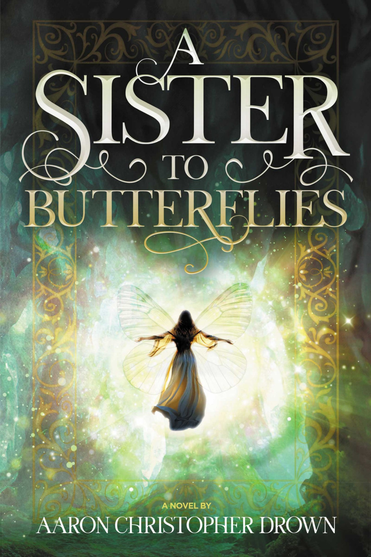 A Sister To Butterflies Aaron Christopher Drown