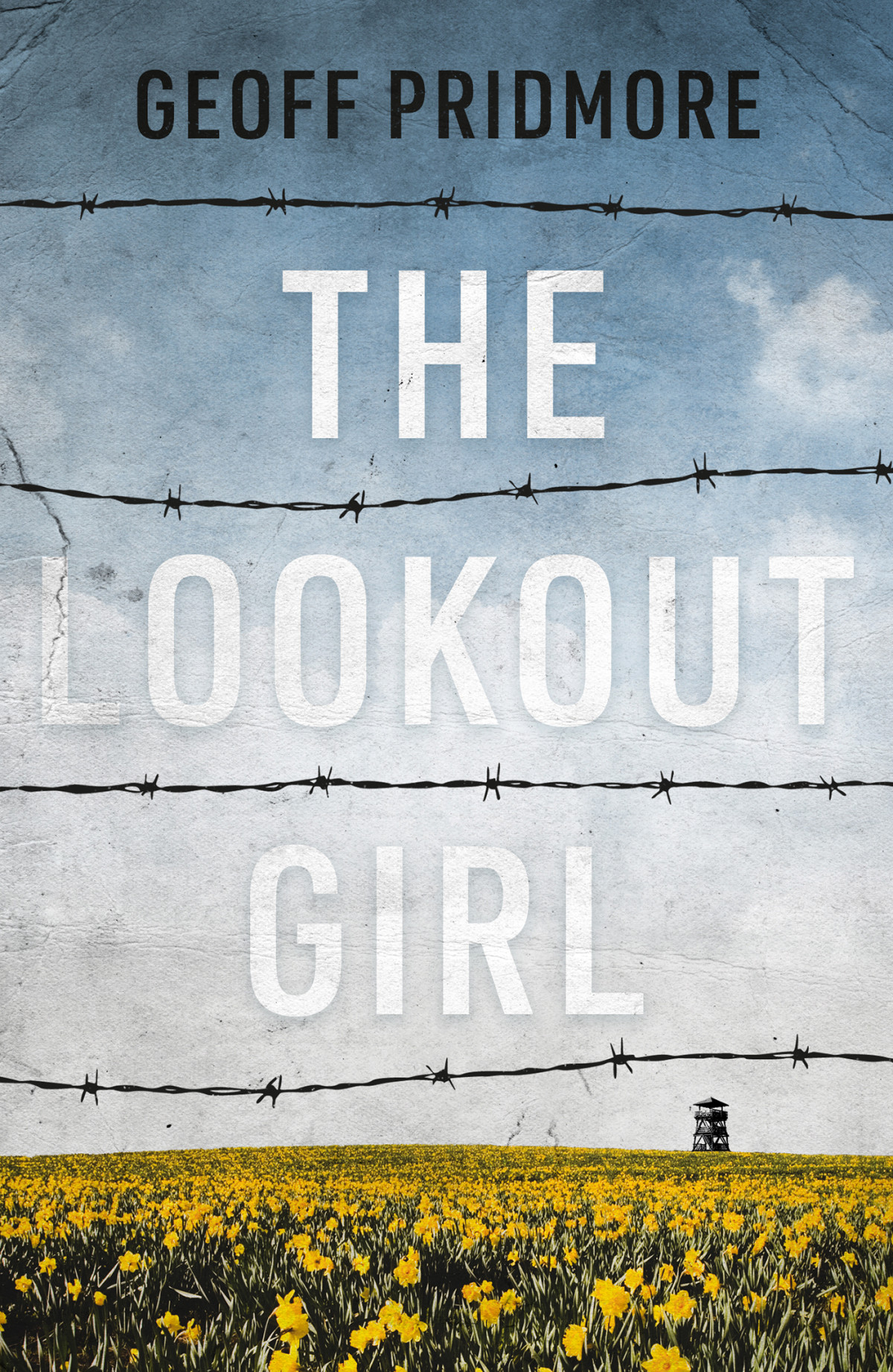 The Lookout Girl Geoff Pridmore