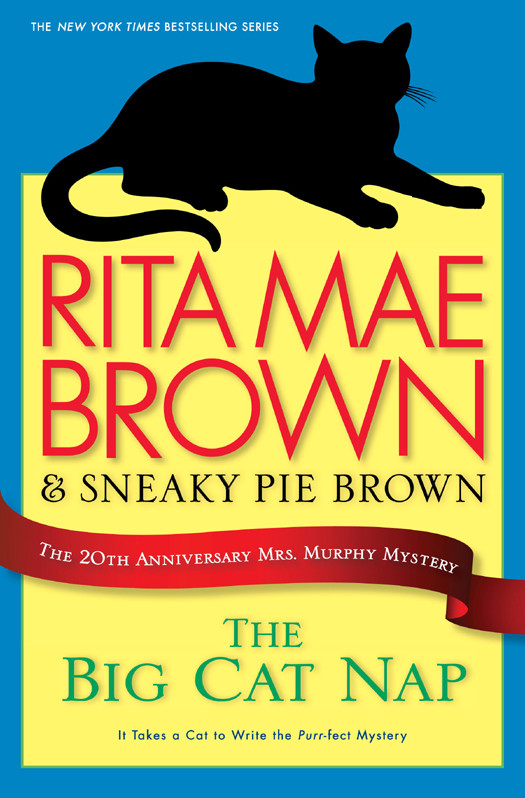 The Big Cat Nap Rita Mae Brown