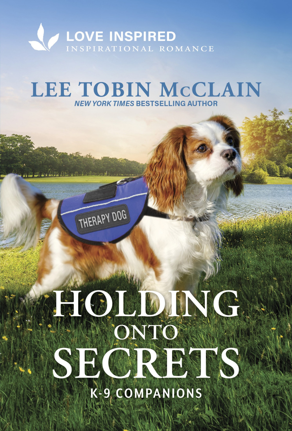 Kc33 Holding Onto Secrets Lee Tobin Mcclain