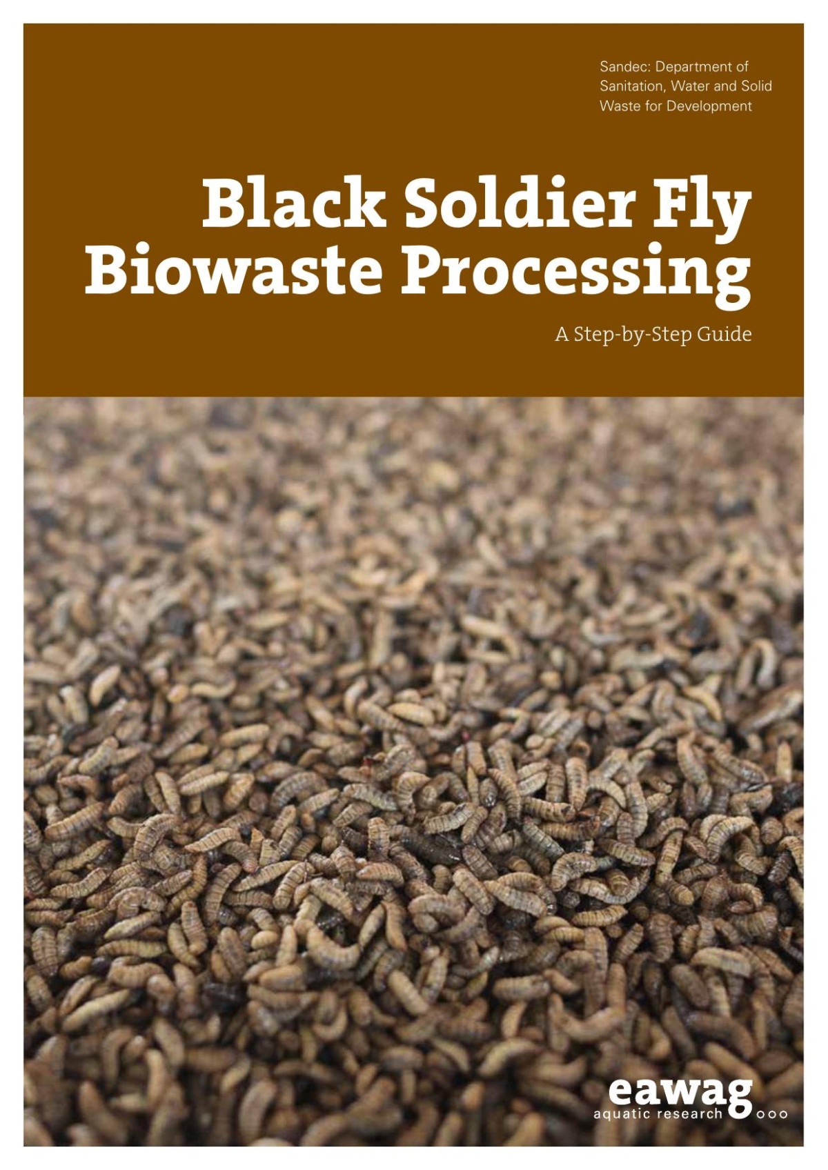Black Soldier Fly Biowaste Processing A Stepbystep Guide 1st Edition Dortmans Bma
