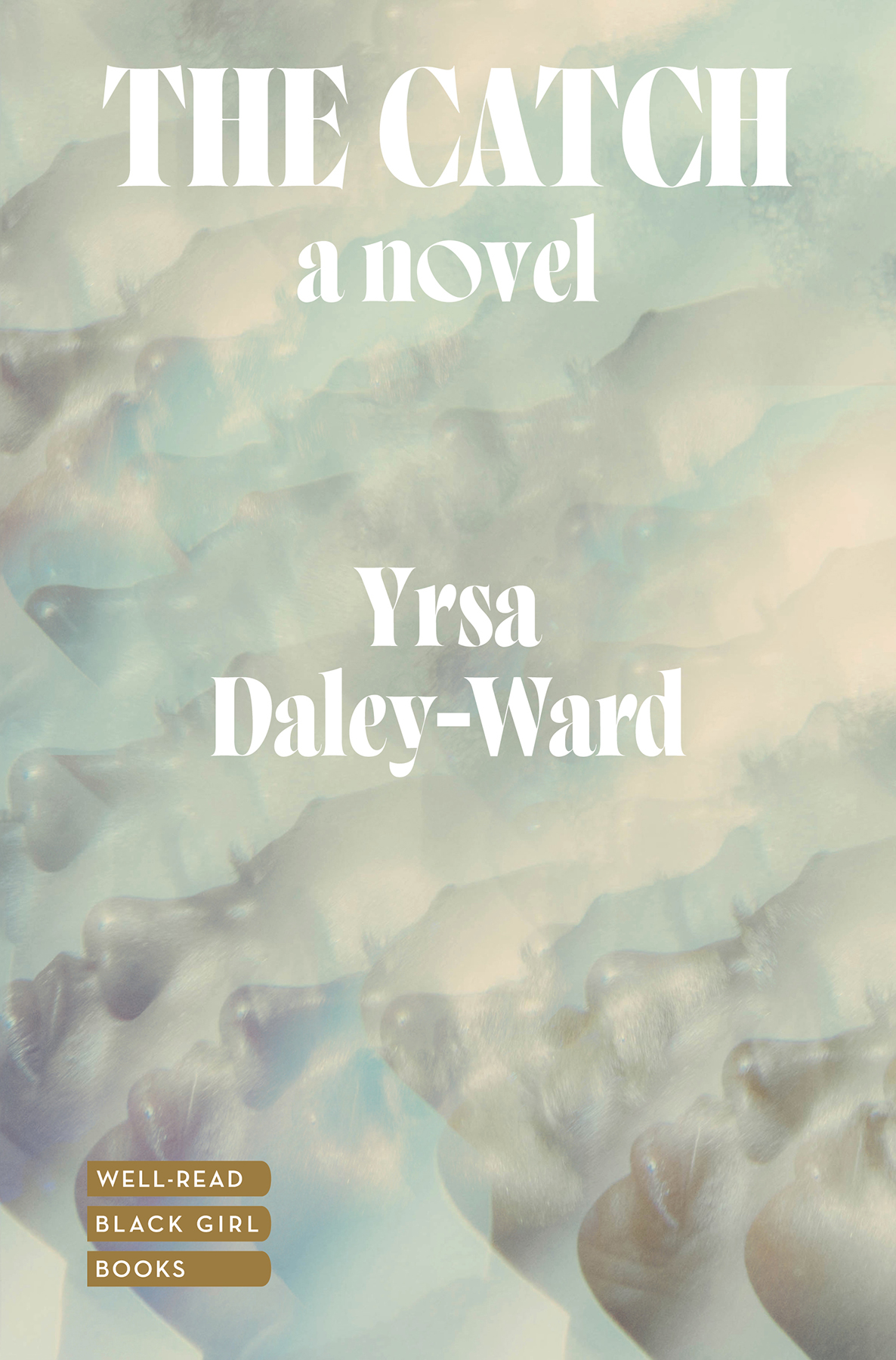 The Catch Yrsa Daleyward