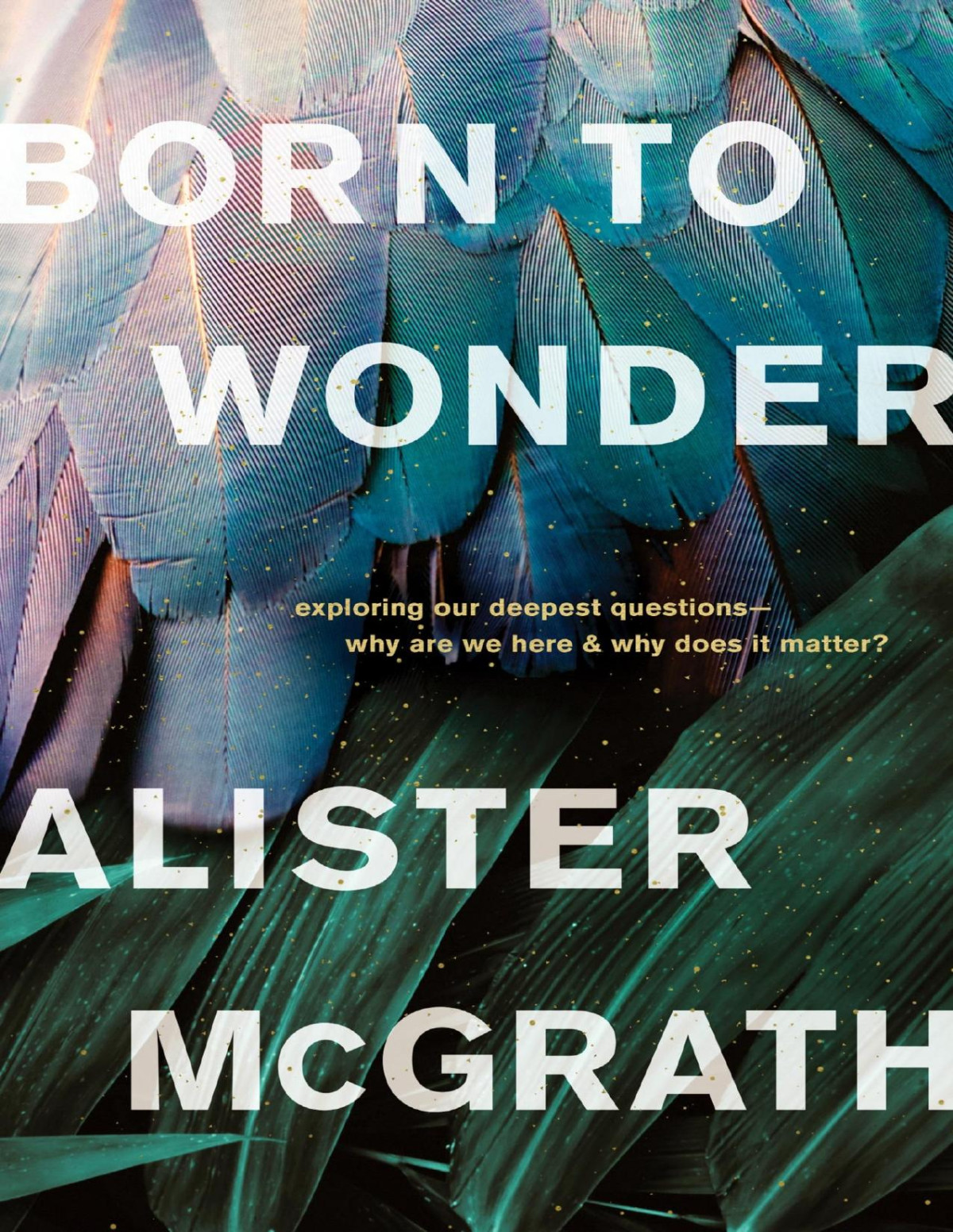 Born To Wonder Exploring Our Deepest Questions Why Are We Here And Why Does It Matter Alister Mcgrath