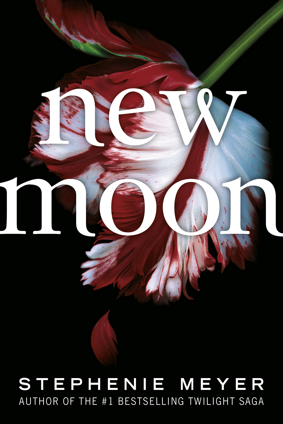New Moon Stephenie Meyer