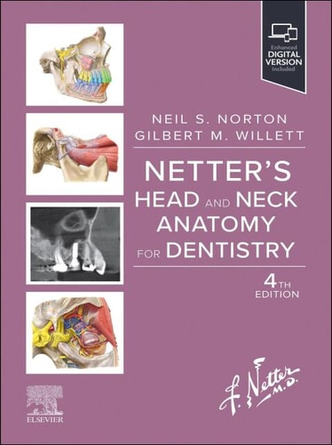 Netters Head And Neck Anatomy For Dentistry Netter Basic Science 4th Edition Neil S Norton Phd