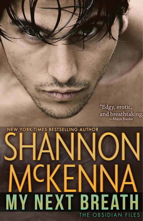 Light Me Up Shannon Mckenna