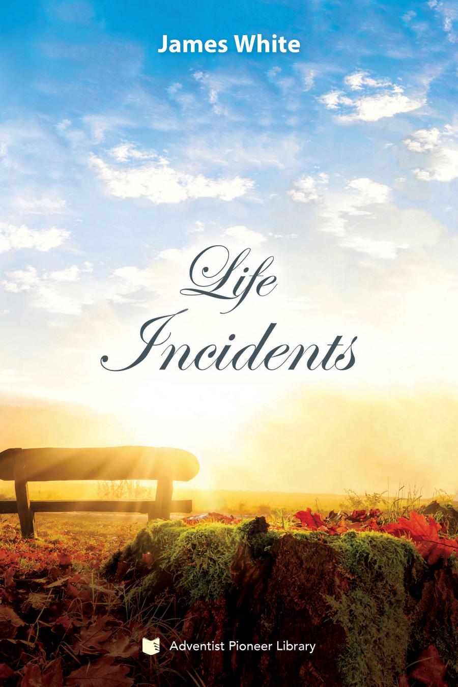 Life Incidents 1st Edition James S White