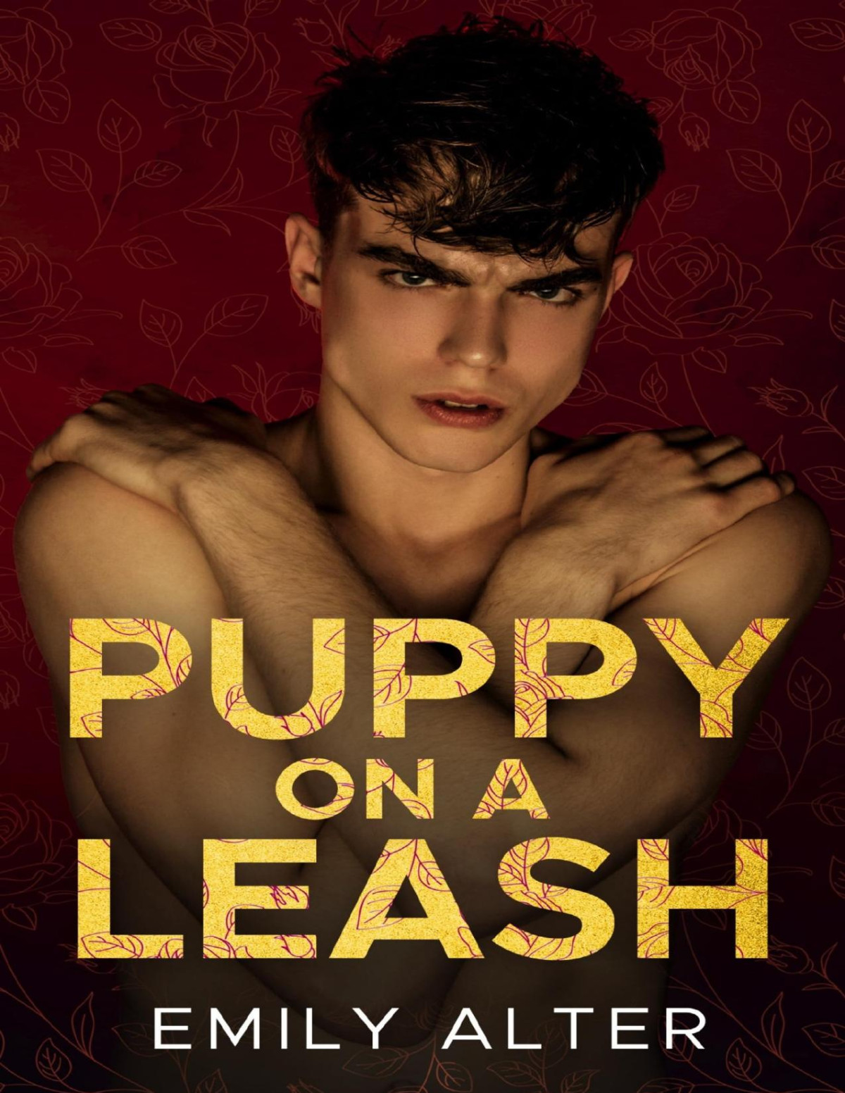 Plumas Universe 1 Puppy On A Leash Emily Alter
