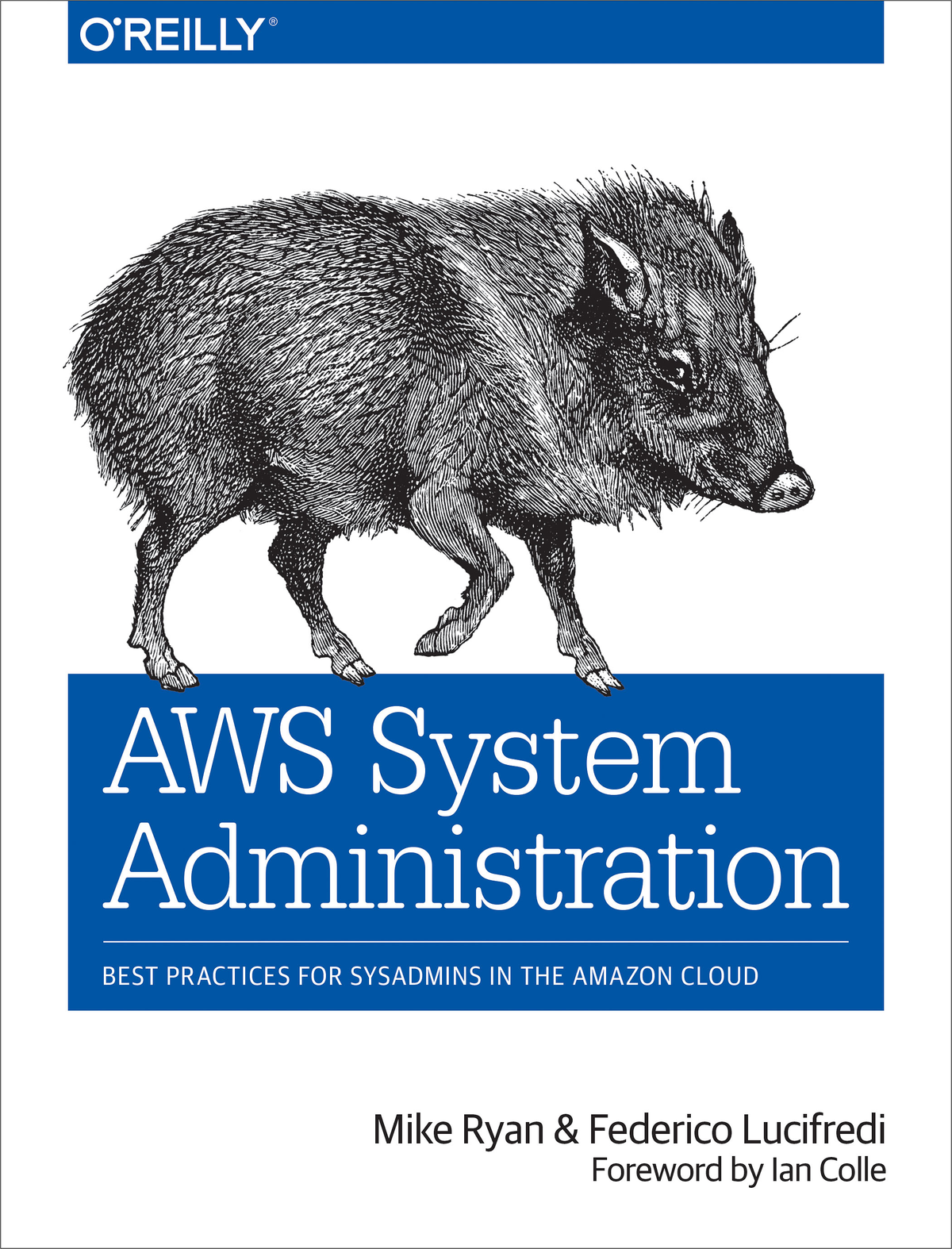 Aws System Administration Mike Ryan And Federico Lucifredi