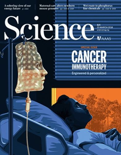 Science Magazine Cancer Immunotherapy March 2018 Science Magazine