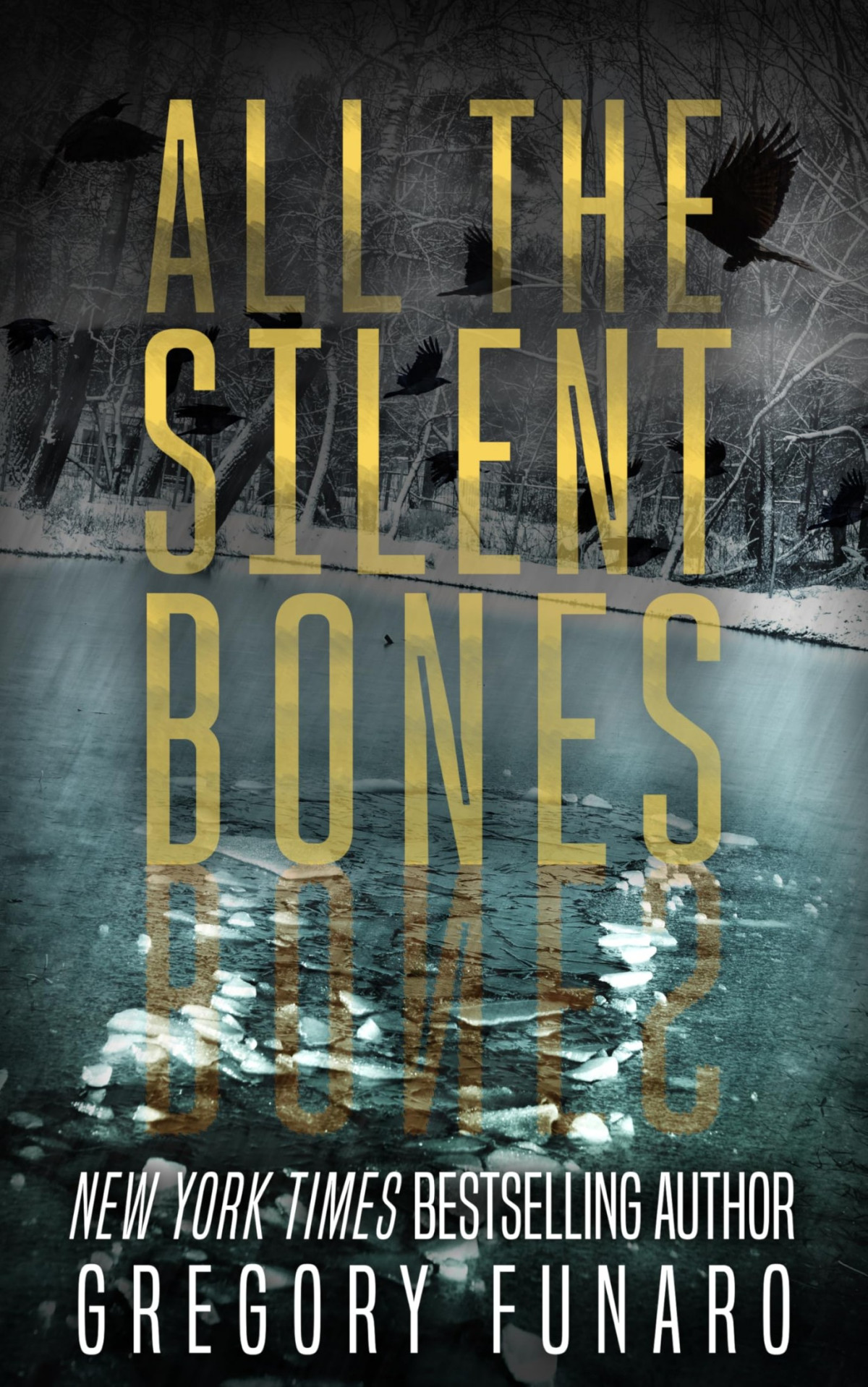 All The Silent Bones Gregory Funaro