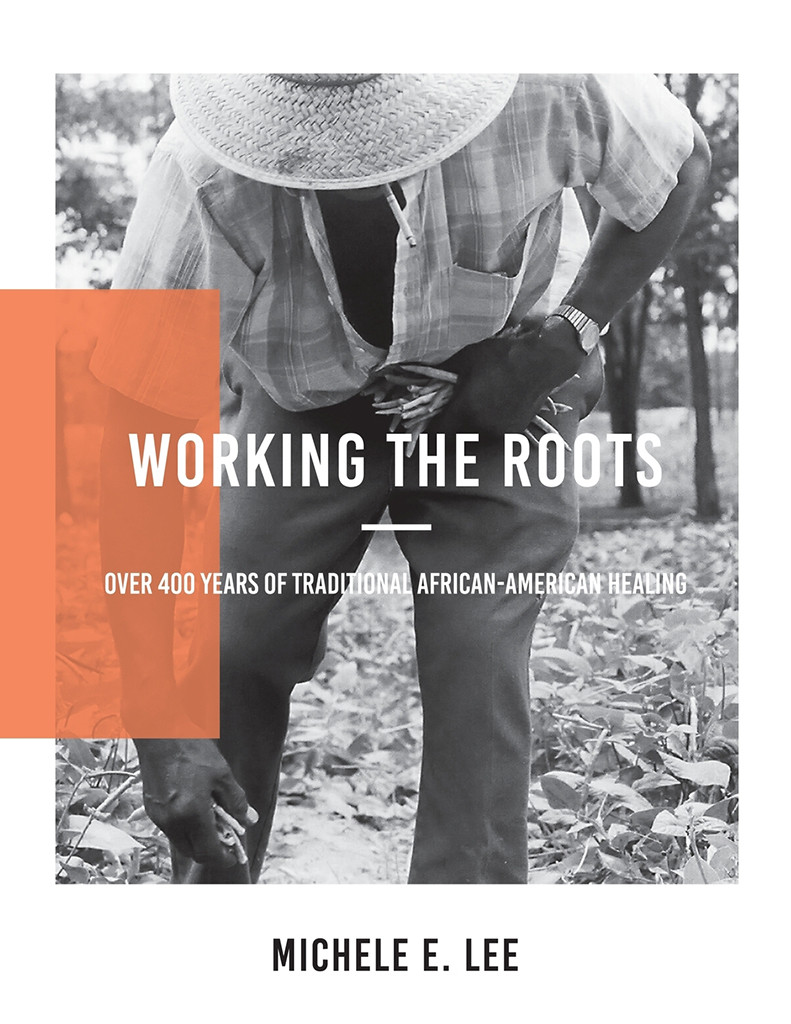 Working The Roots Michele Elizabeth Lee