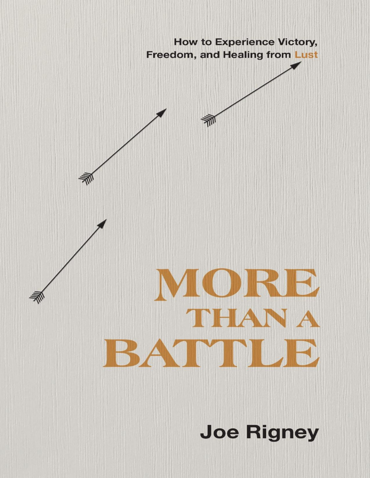 More Than A Battle How To Experience Victory Freedom And Healing From Lust Joe Rigney