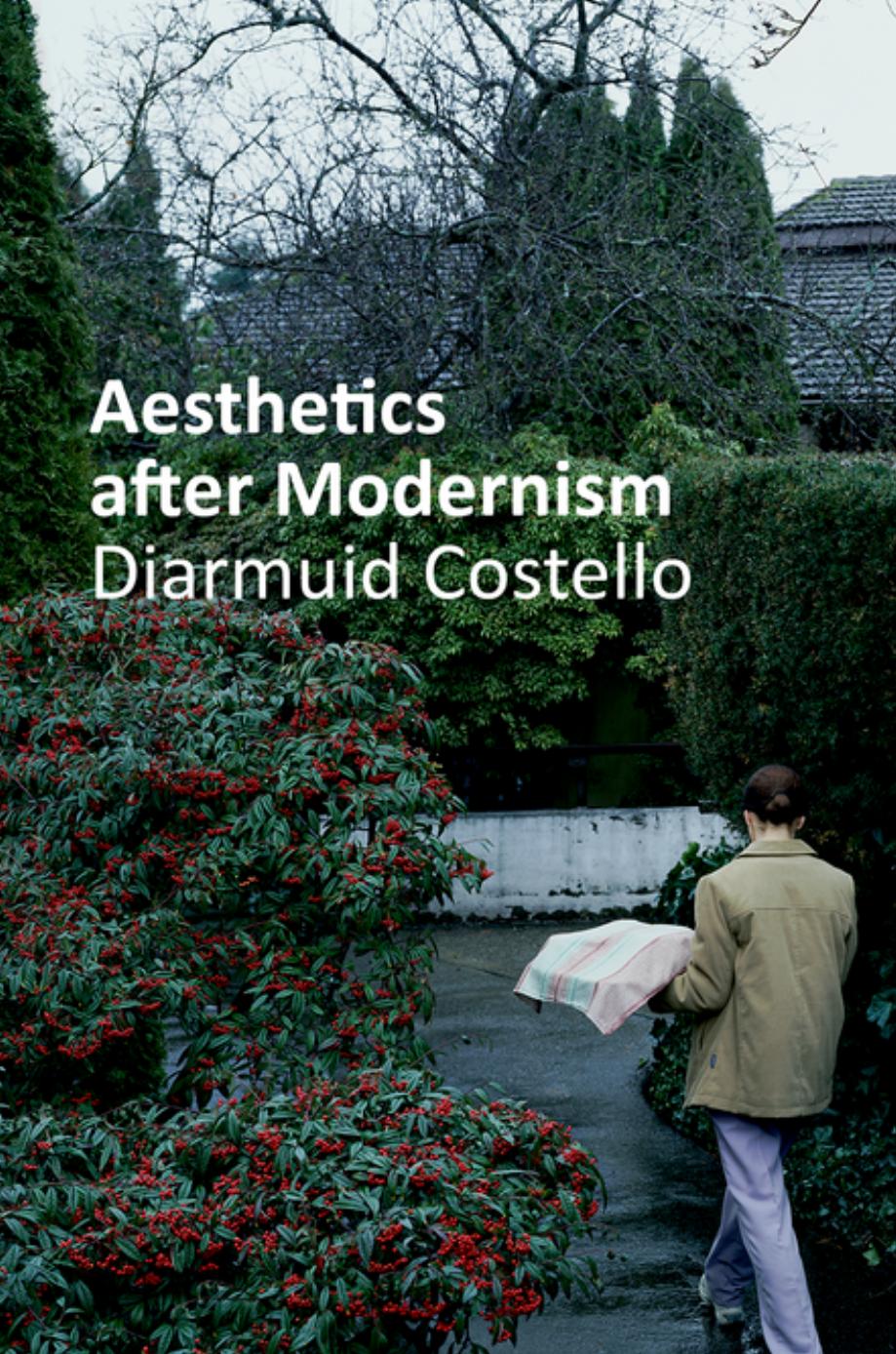 Aesthetics After Modernism 1st Diarmuid Costello