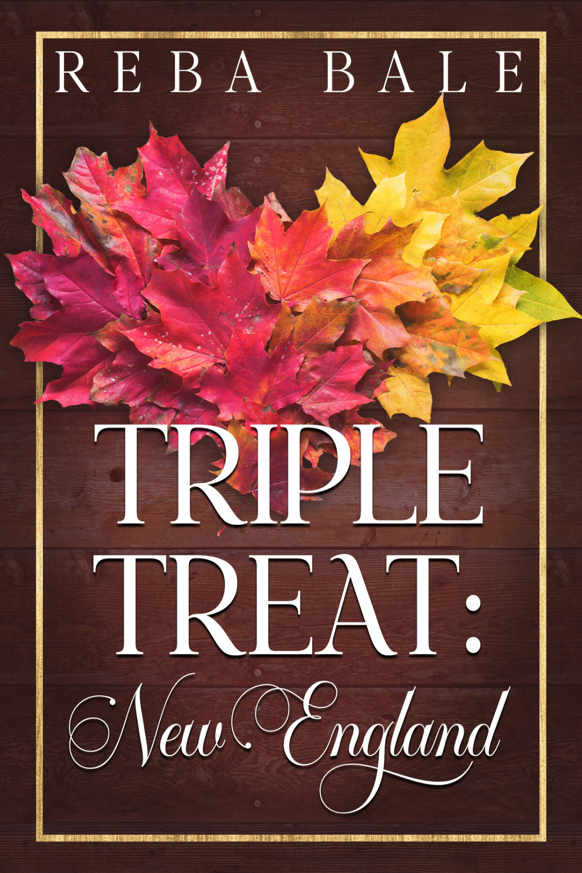 Triple Treat New England A 3 Book Menage Romance Collection The Reba Bale Collection Reba Bale