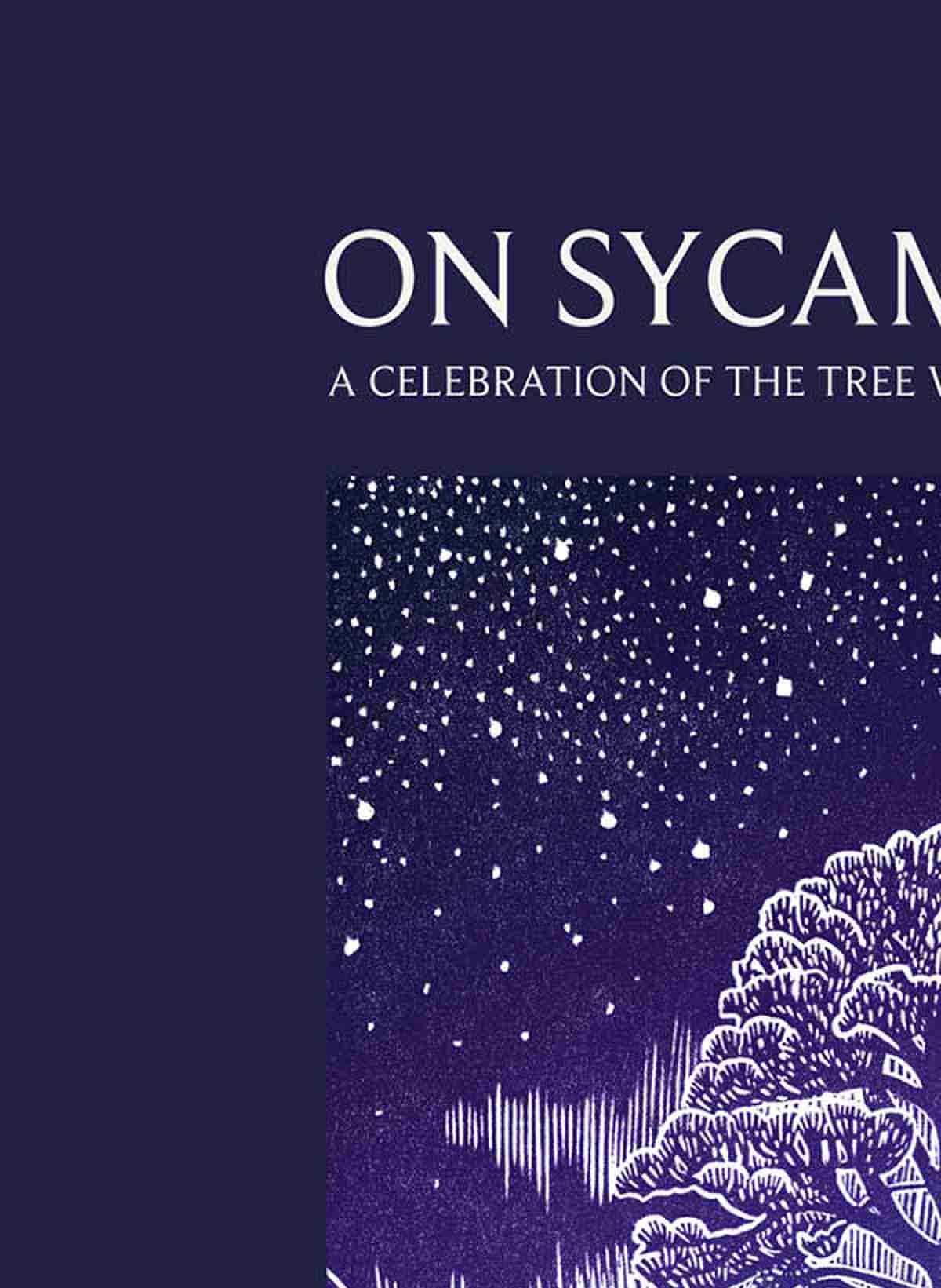 On Sycamore Gap Kate Fox