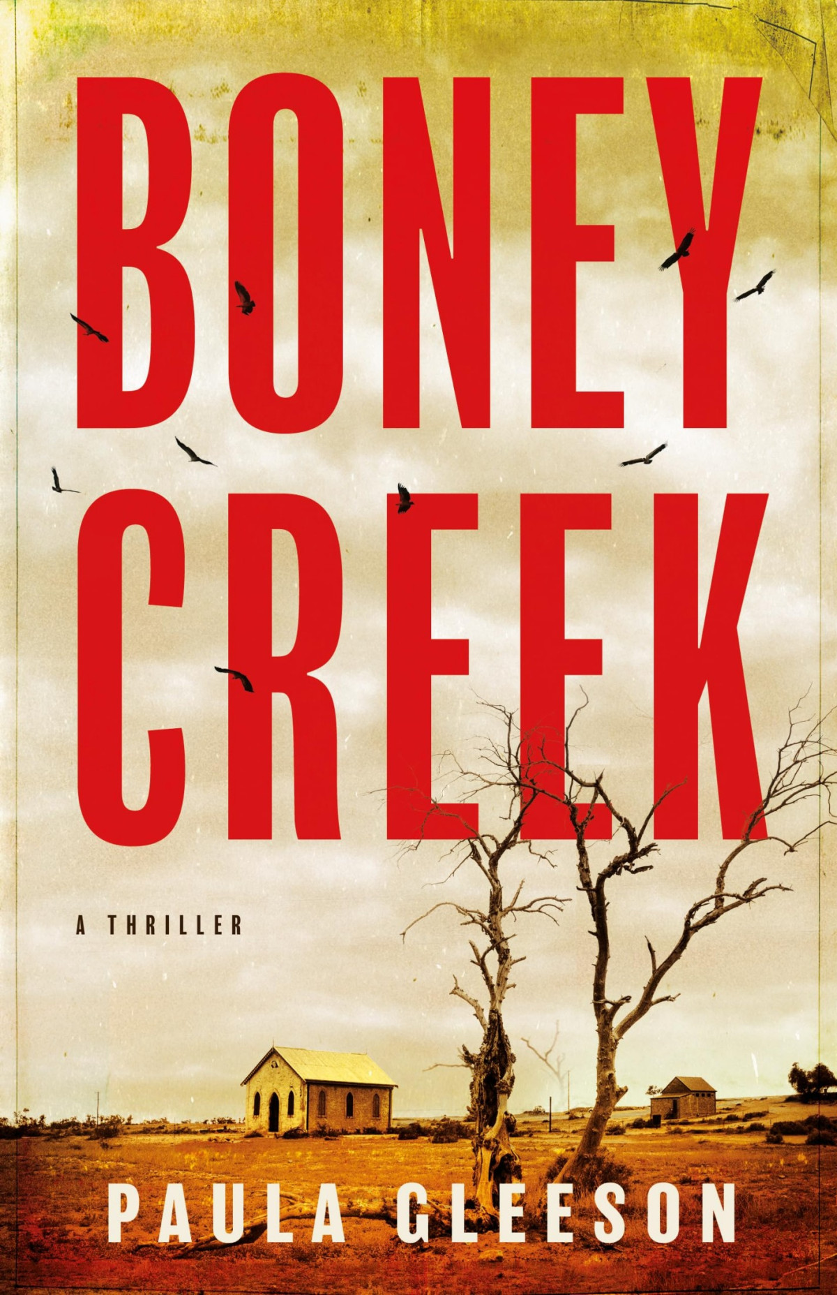 Boney Creek A Thriller Paula Gleeson