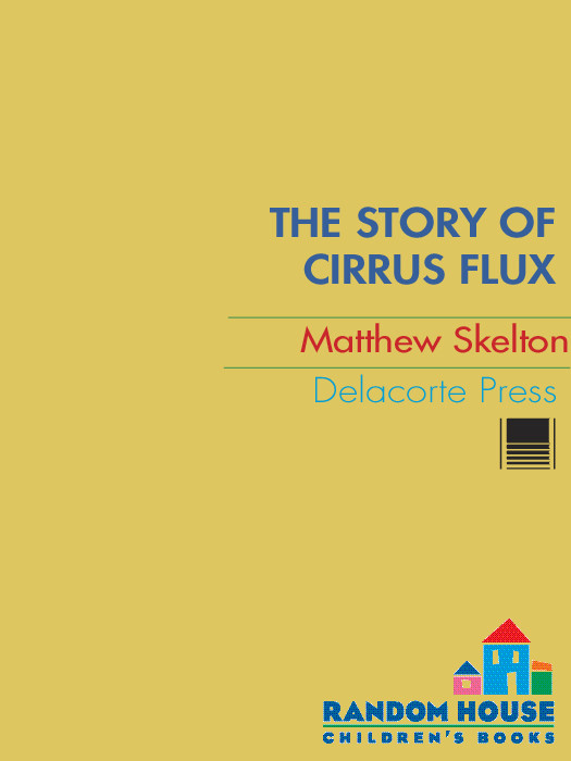 The Story Of Cirrus Flux Matthew Skelton