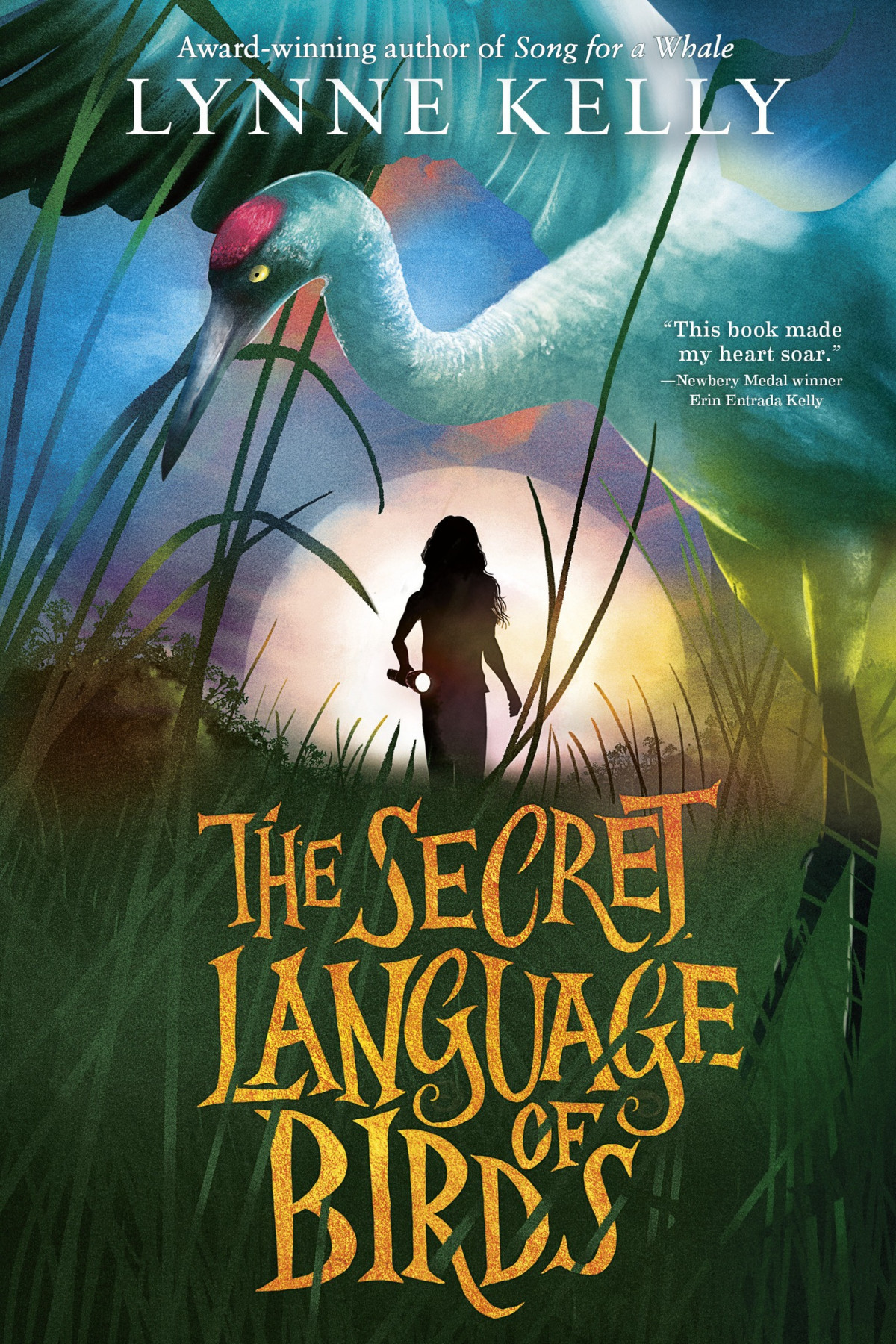 The Secret Language Of Birds Lynne Kelly