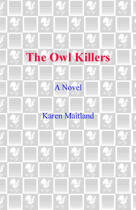 The Owl Killers Maitland Karen