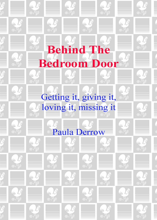 Behind The Bedroom Door Gottlieb Lori Lee Jenny Paesel Brett