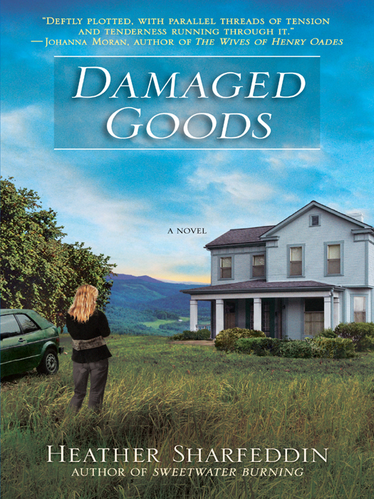Damaged Goods Heather Sharfeddin