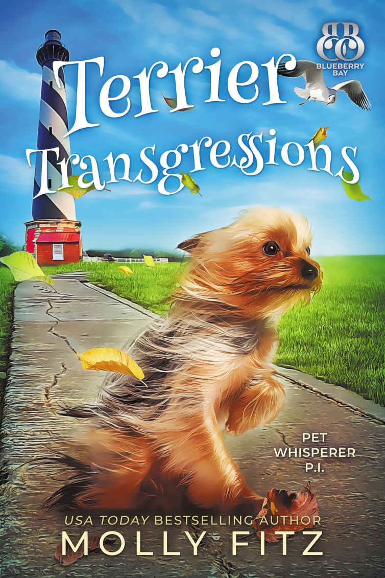 Terrier Transgressions Molly Fitz