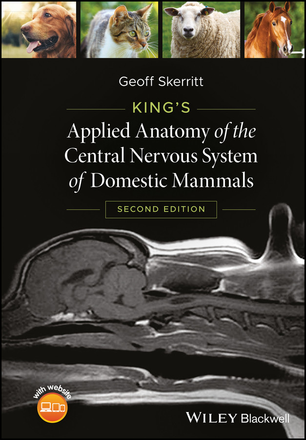 Kings Applied Anatomy Of The Central Nervous System Of Domestic Mammals Geoff Skerritt