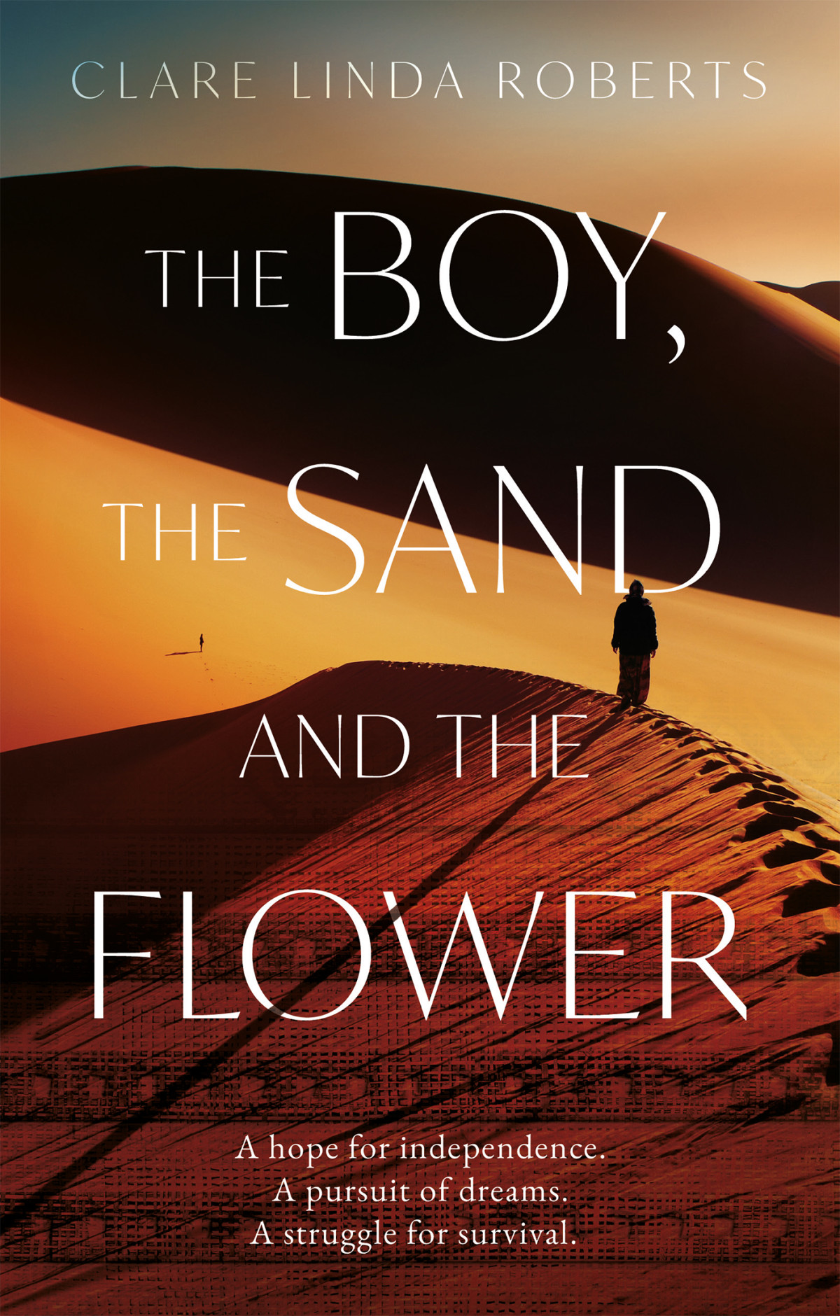 The Boy The Sand And The Flower Clare Linda Roberts