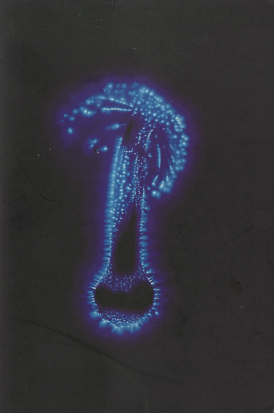 Strange Attractor Journal Two Mark Pilkington