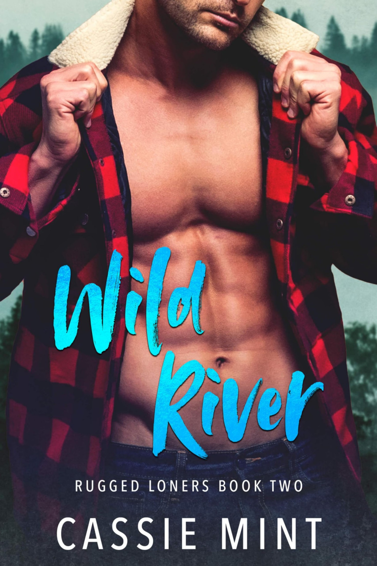 Wild River Rugged Loners Book 2 Cassie Mint
