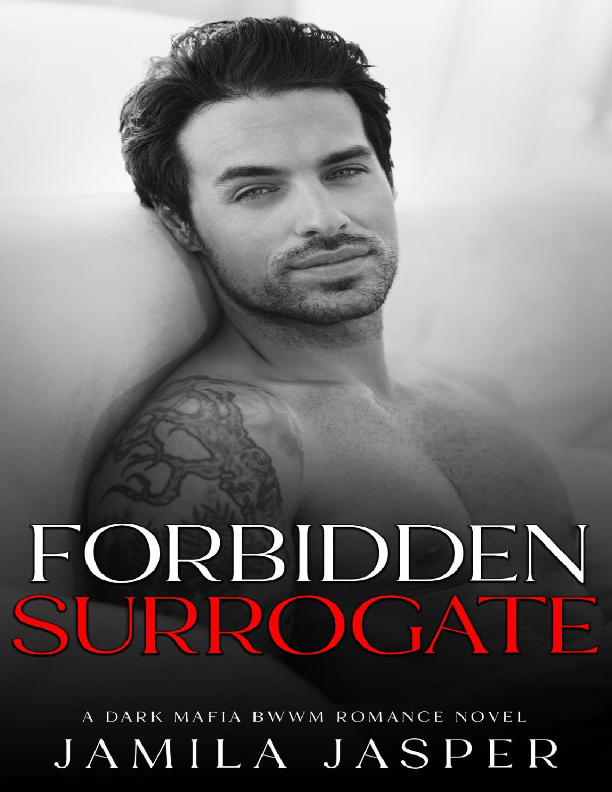 Forbidden Surrogate Dark Mafia Bwwm Romance The Buffalo Italian Mob Family Book 1 Jamila Jasper