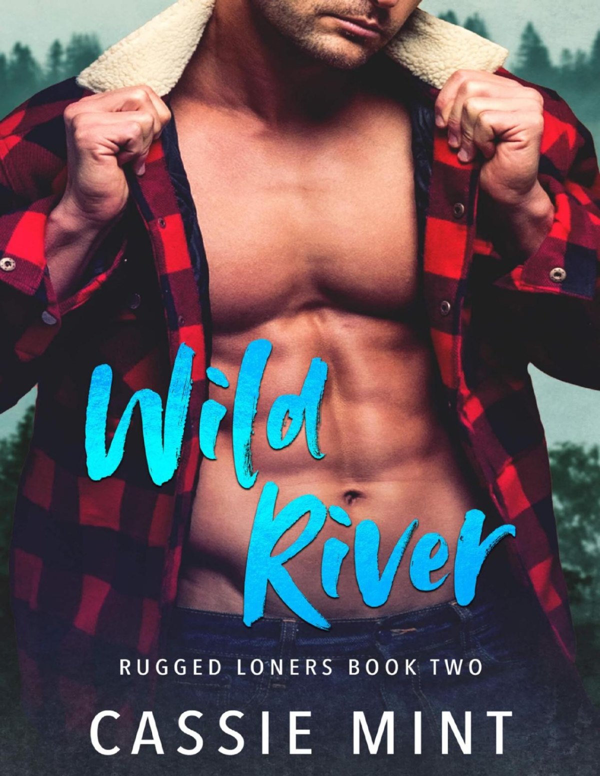 Wild River Rugged Loners Book 2 Cassie Mint