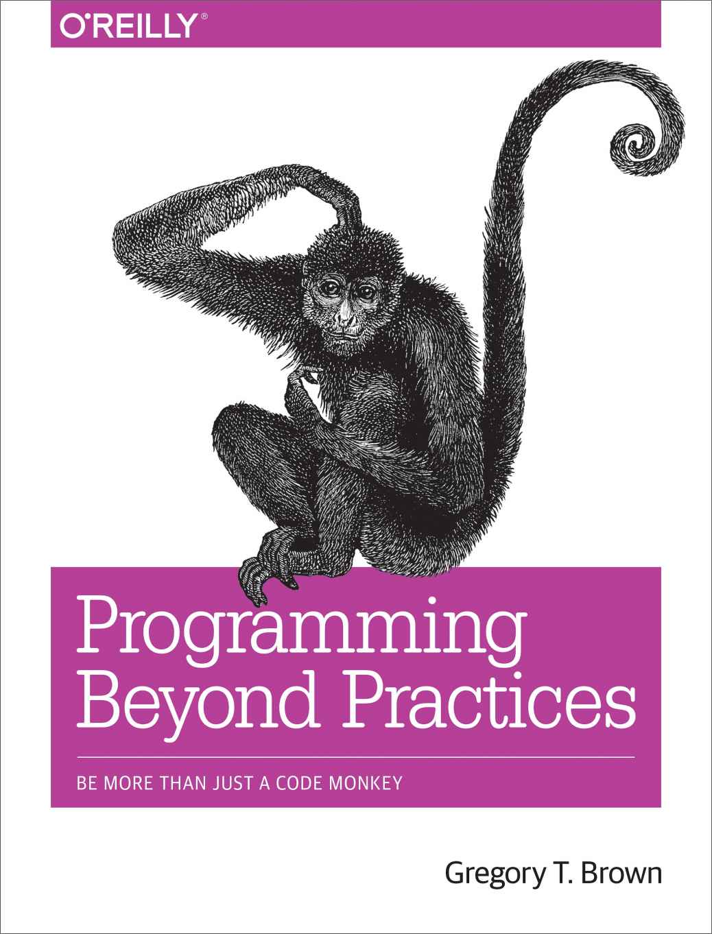 Programming Beyond Practices Be More Than Just A Code Monkey Gregory T Brown