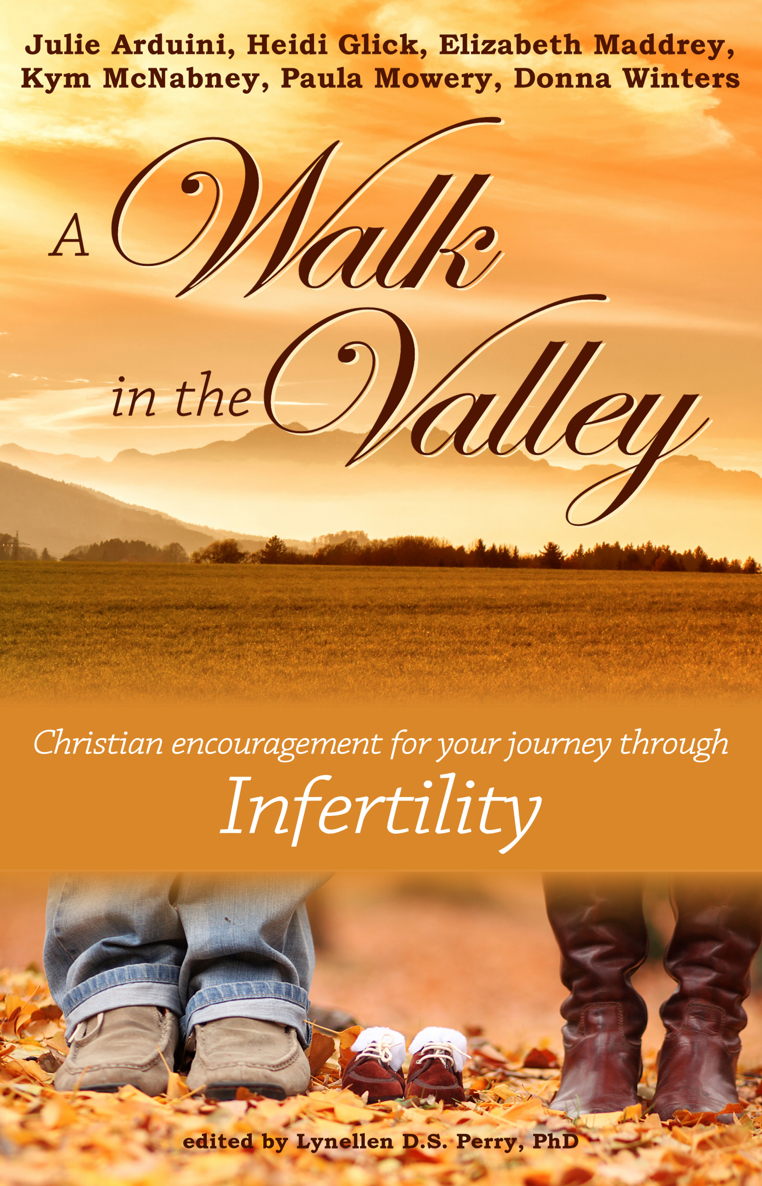 A Walk In The Valley Julie Arduini Heidi Glick Elizabeth Maddrey
