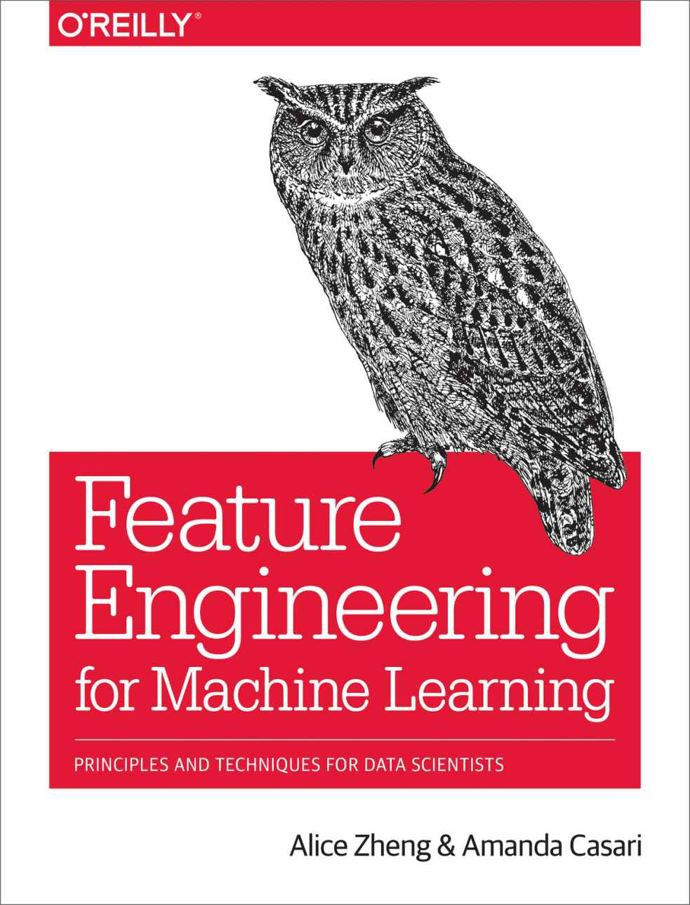 Feature Engineering For Machine Learning Alice Zheng Amanda Casari