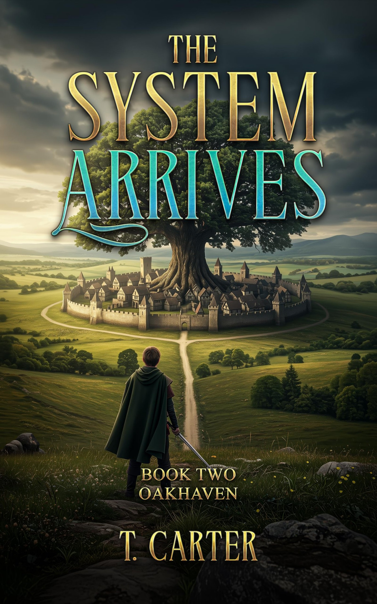 The System Arrives Oakhaven Terry Carter