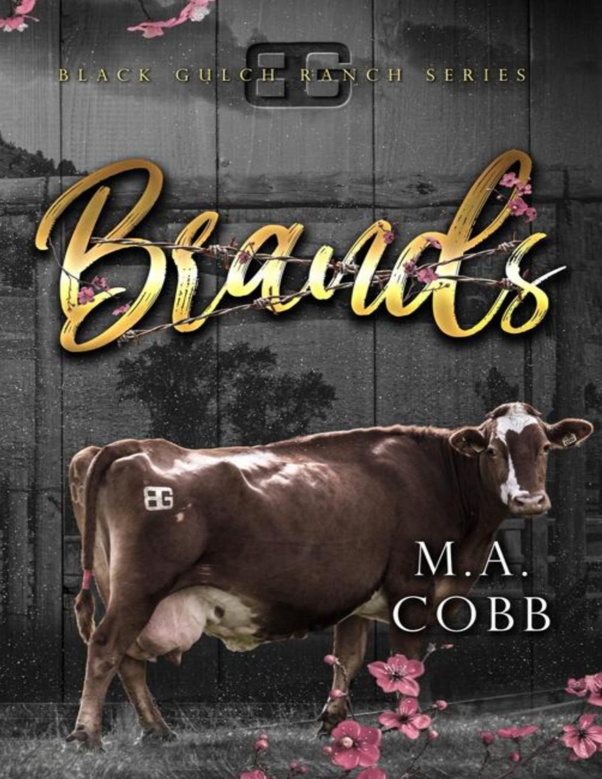 Brands A Black Gulch Cowboy Romance Black Gulch Ranch Book 4 Ma Cobb