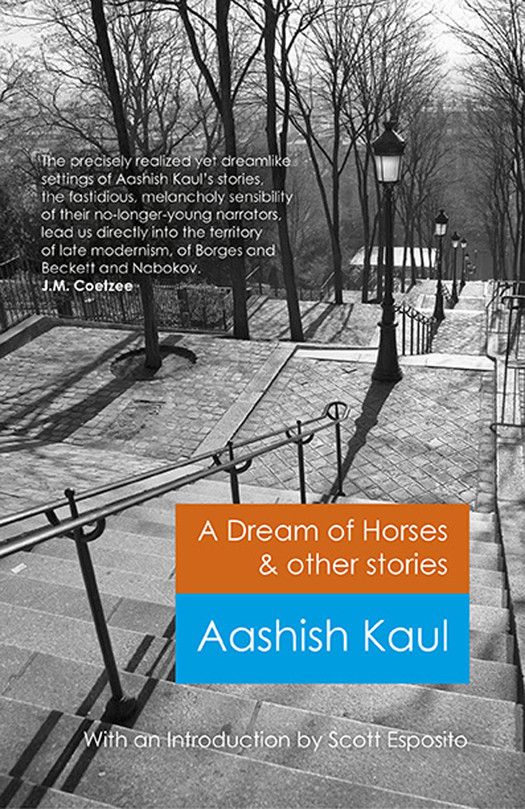 A Dream Of Horses Other Stories Kaul Aashish