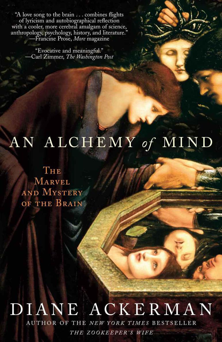 An Alchemy Of Mind The Marvel And Mystery Of The Brain Diane Ackerman