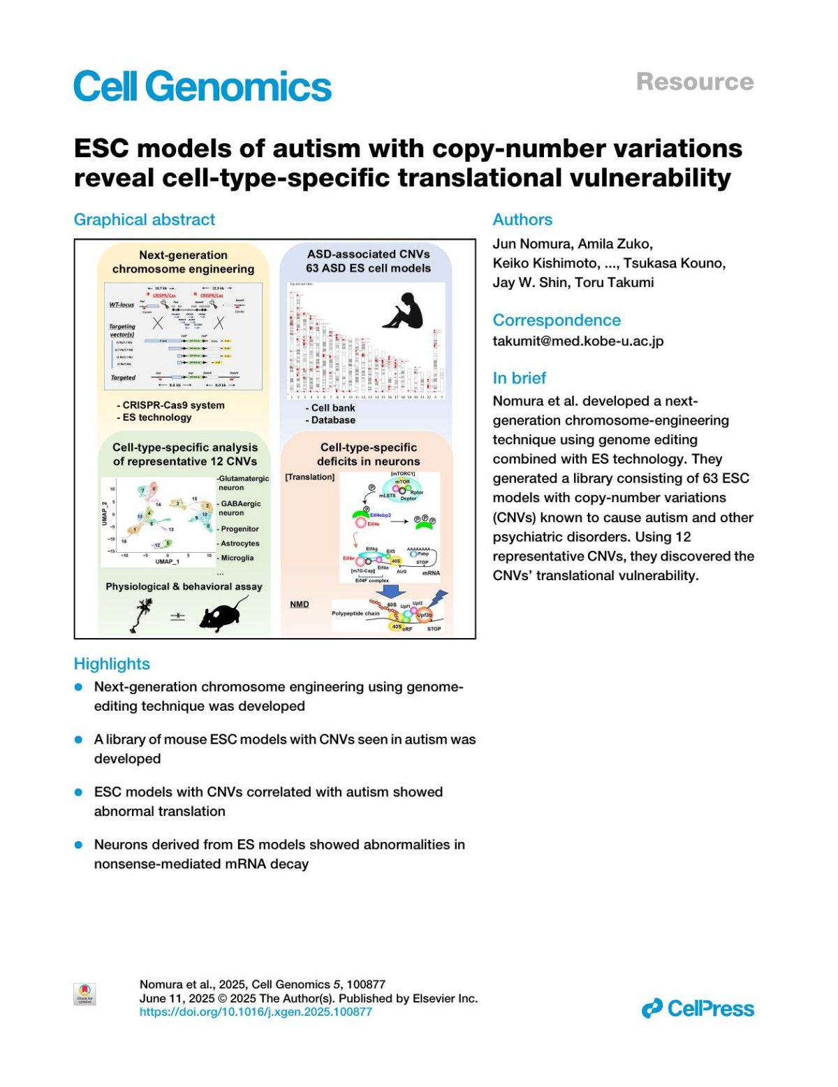 Esc Models Of Autism With Copynumber Variations Reveal Celltypespecific Translational Vulnerability Jun Nomura Amila Zuko Keiko Kishimoto Hiroaki Mutsumine Hiroko Maegawa Kazumi Fukatsu Yoshiko Nomura Xiaoxi Liu Nobuhiro Nakai Es Library Team Chika Maeda Yuriko Kusakari Takashi Arai Ikue Shibasaki Ayaka Homma Kaori