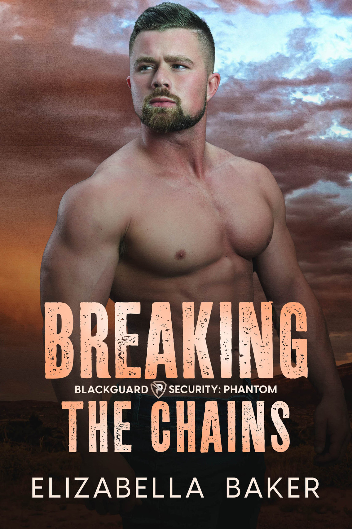 Blackguard Security Phantom 4 Breaking The Chains Elizabella Baker