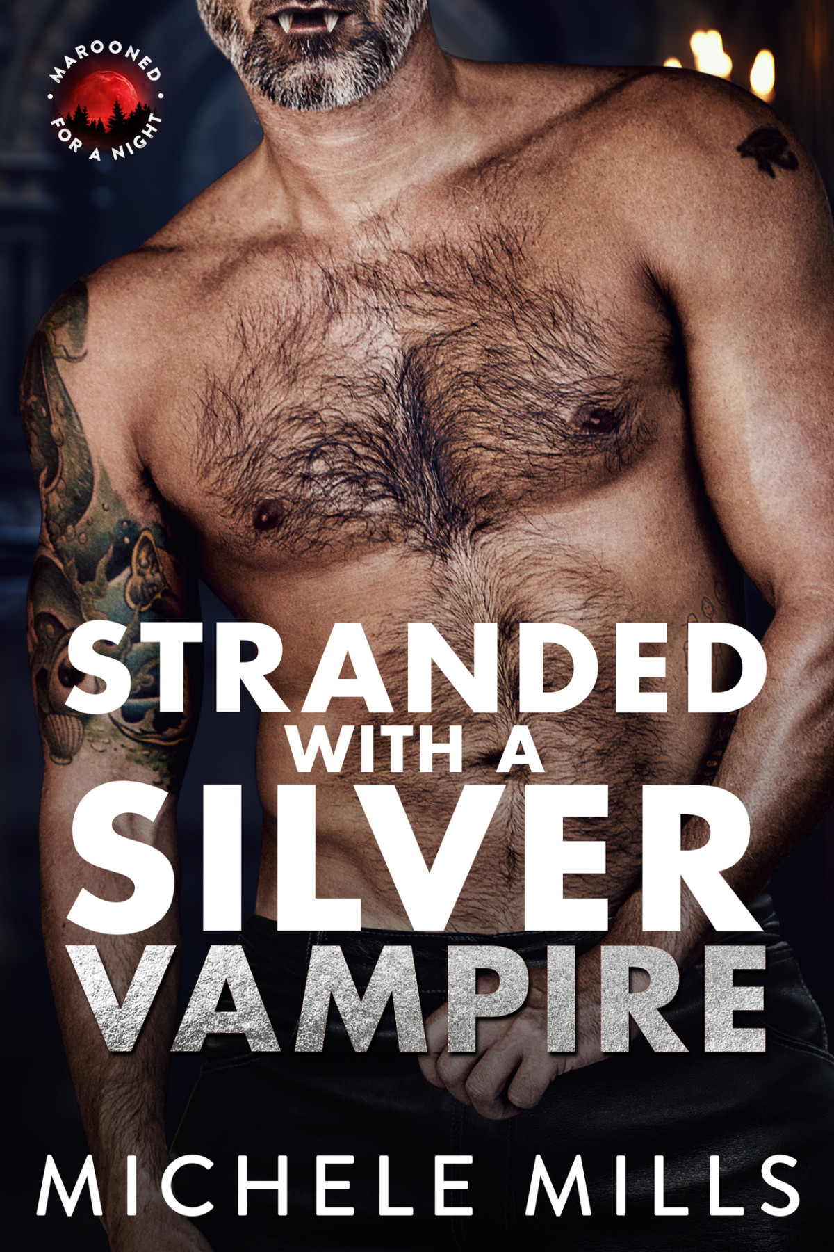 Marooned For A Night 6 Stranded With A Silver Vampire Michele Mills