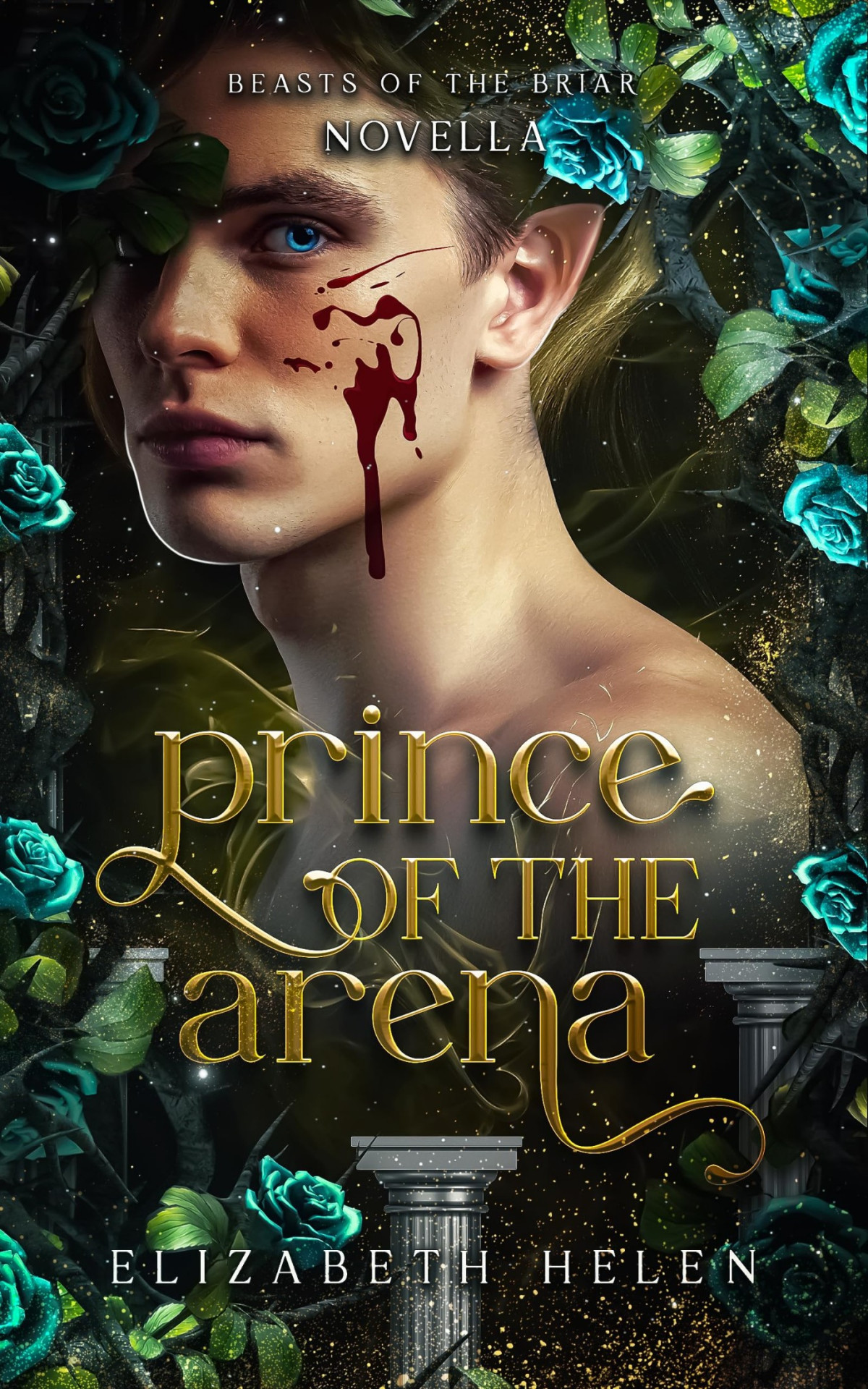 Prince Of The Arena A Beasts Of The Briar Prequel Novella Elizabeth Helen