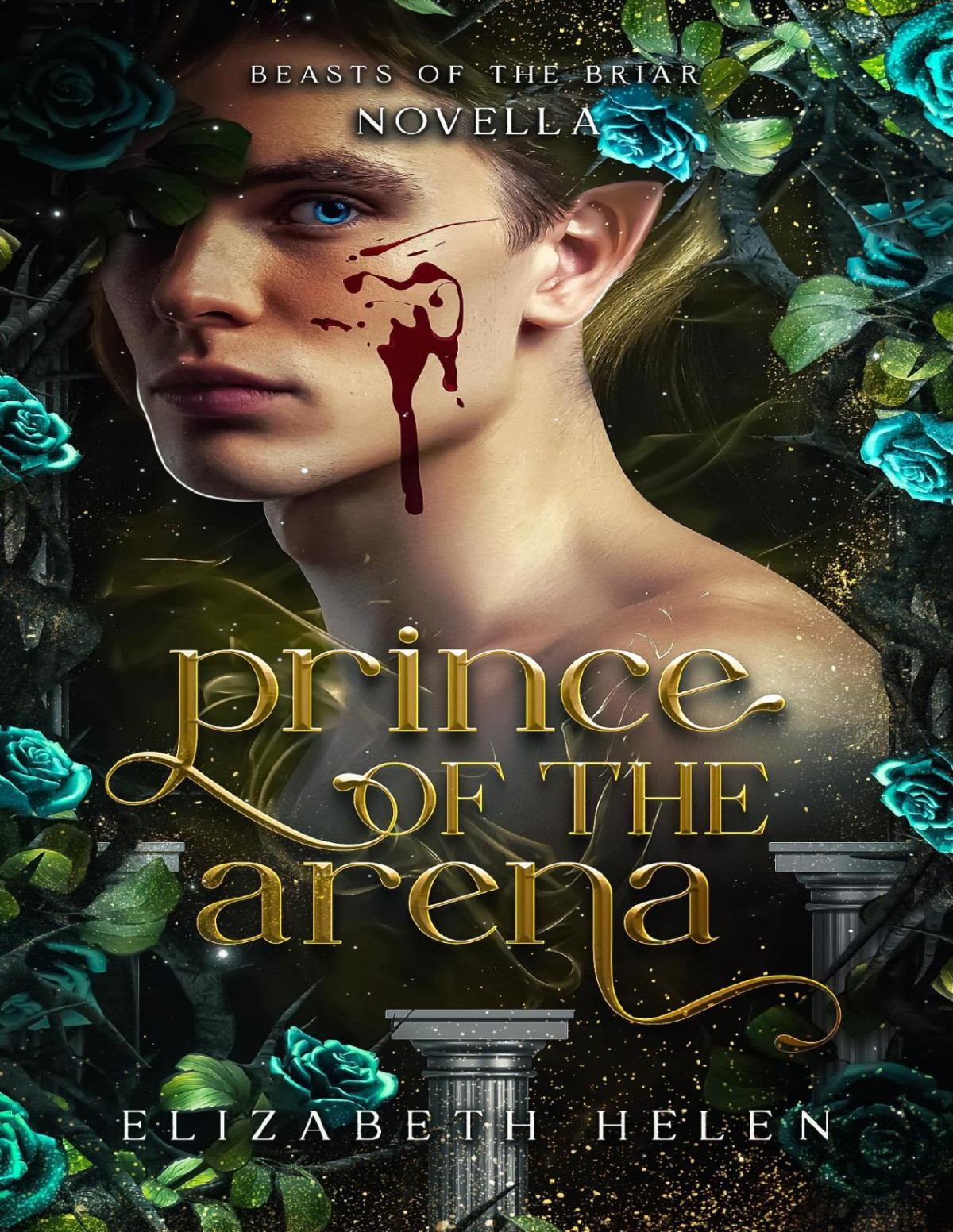 Prince Of The Arena A Beasts Of The Briar Prequel Novella Elizabeth Helen