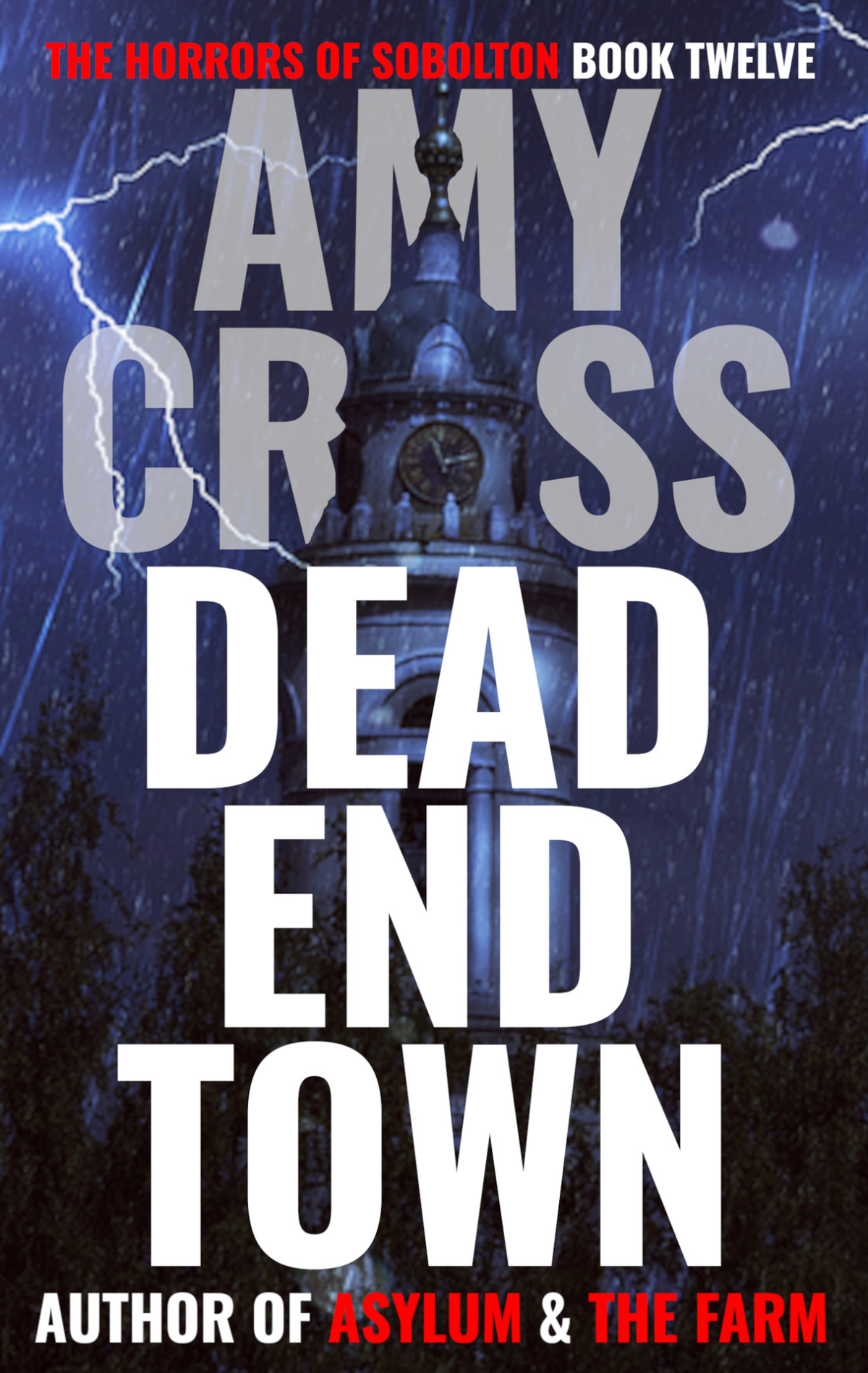 Dead End Town The Horrors Of Sobolton Book 12 Amy Cross
